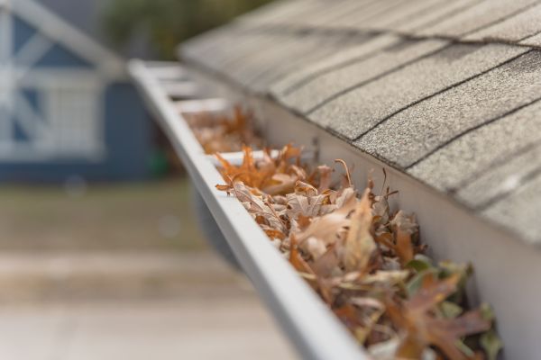 Leaf Barrier Installation in Largo